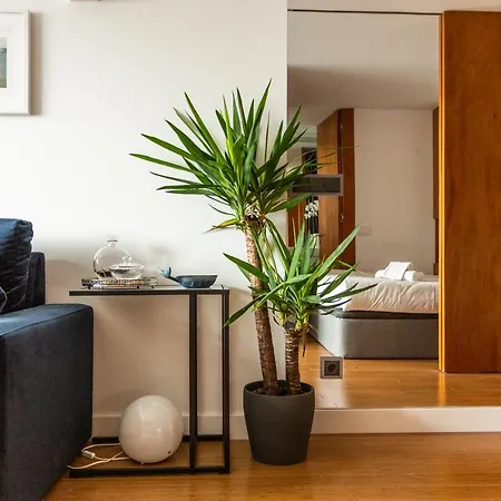 Kate Home's Trindade - Porto's Centre * ポルト